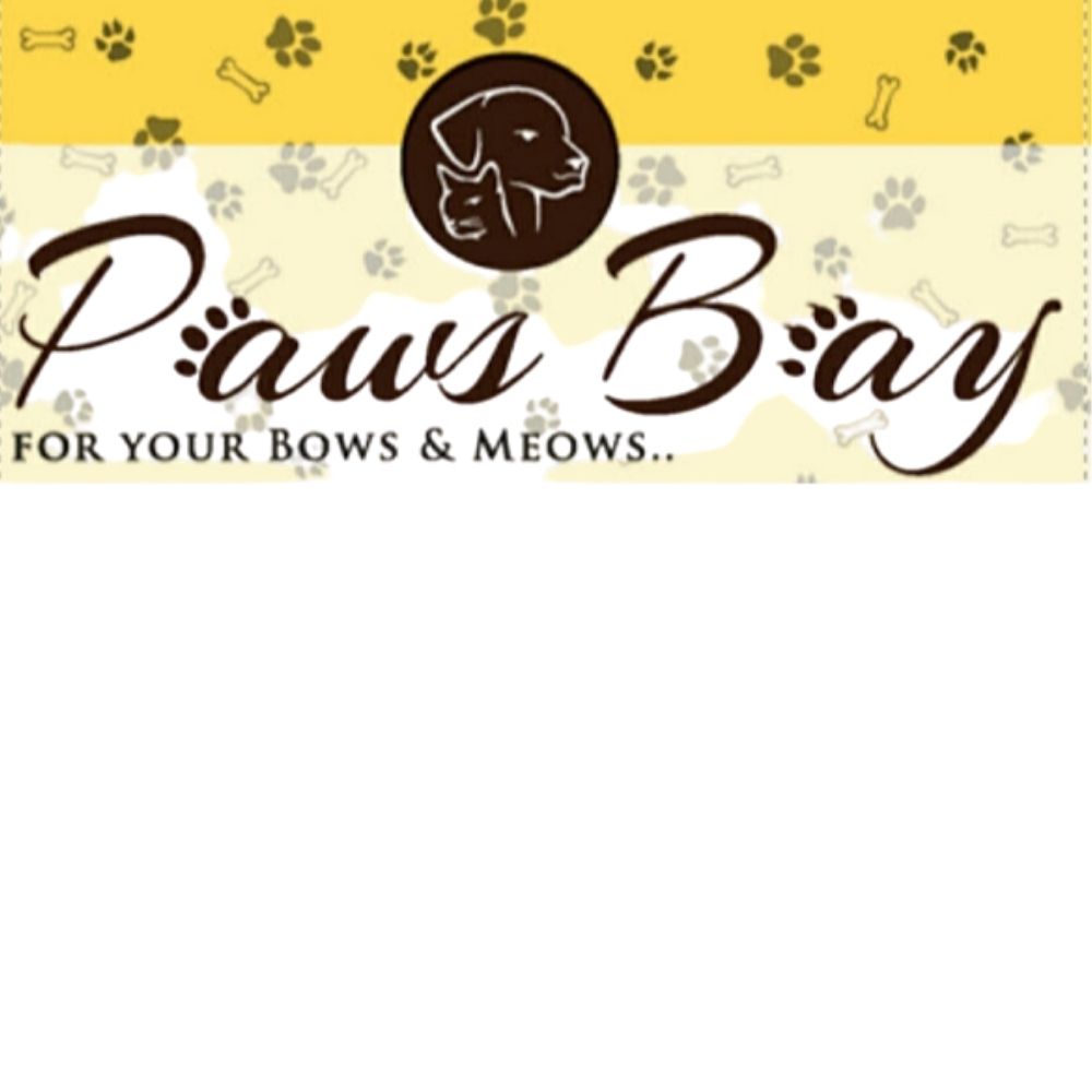 Pawsbay Mobile Pet Grooming Studio Adyar chennai