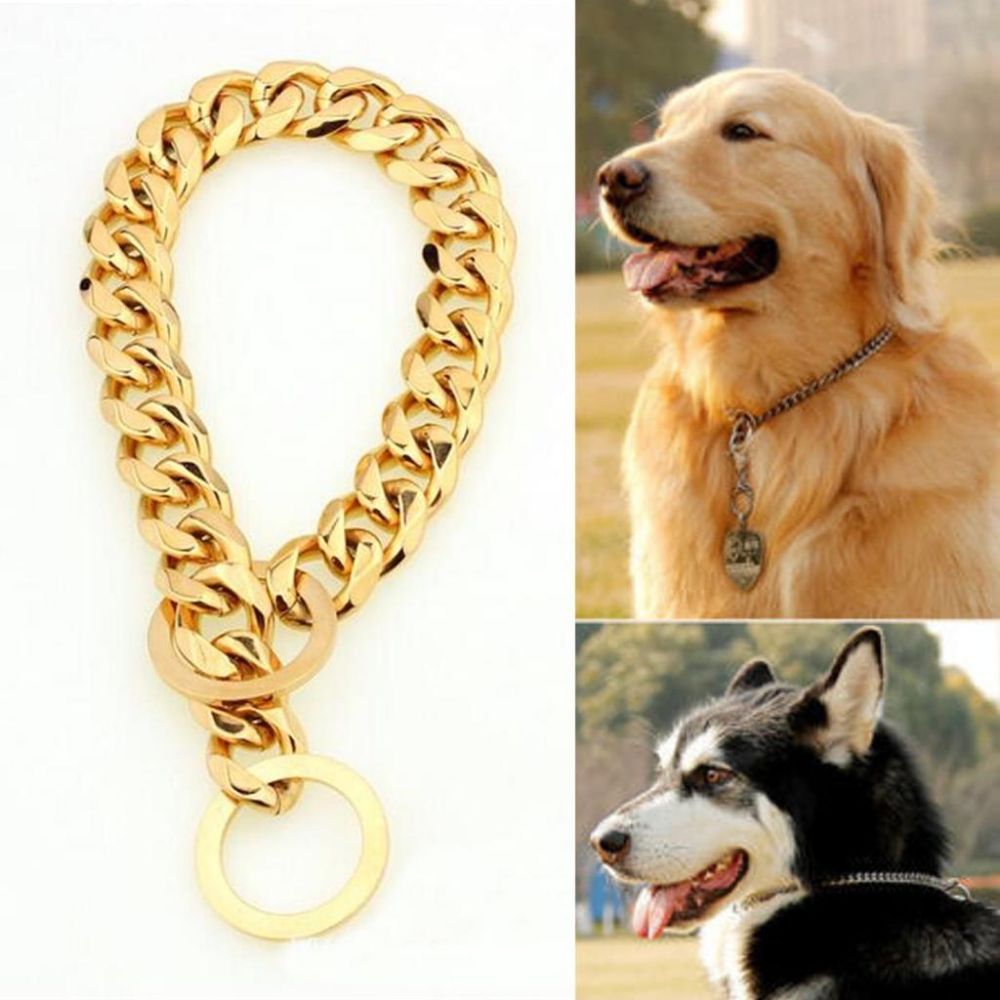 Smarty Pet Brass No Pull Chain Dog Collar