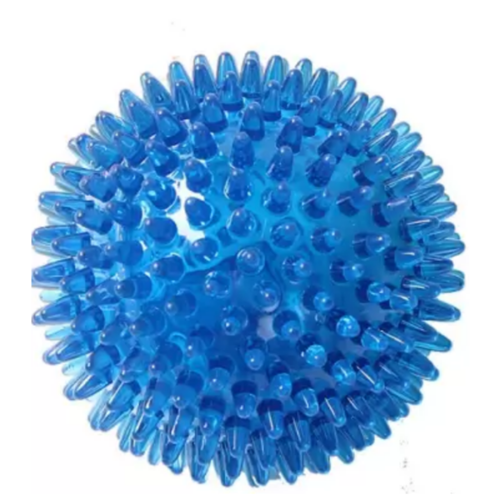 Dog Spiky Squeaky Ball Shaped Chew Toy