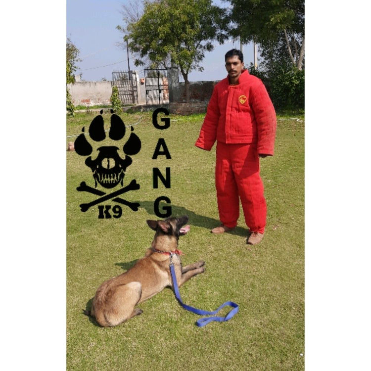 Red Wood K9 Dog Trainer Bangalore