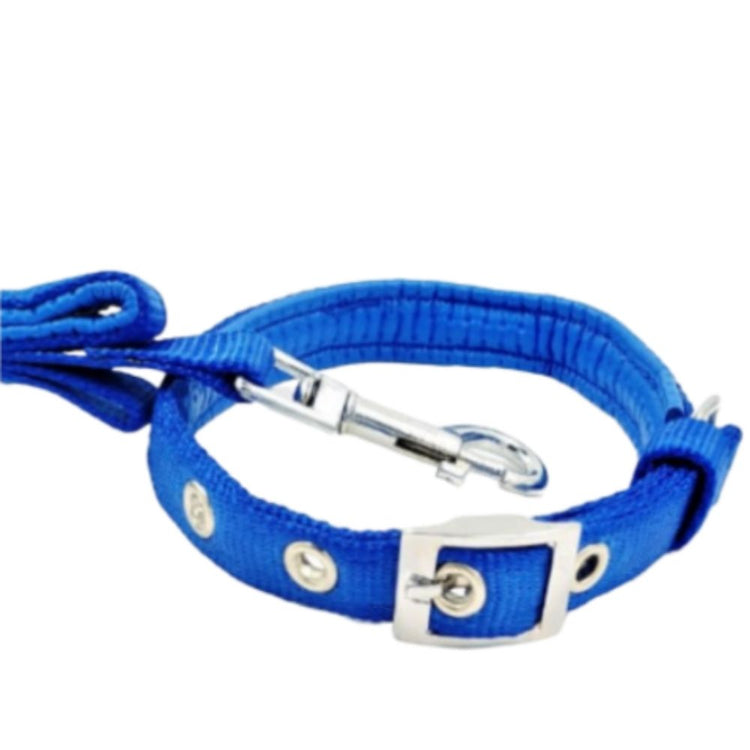 Smarty Pet Nylon Padded Dog Collar & Leash Set