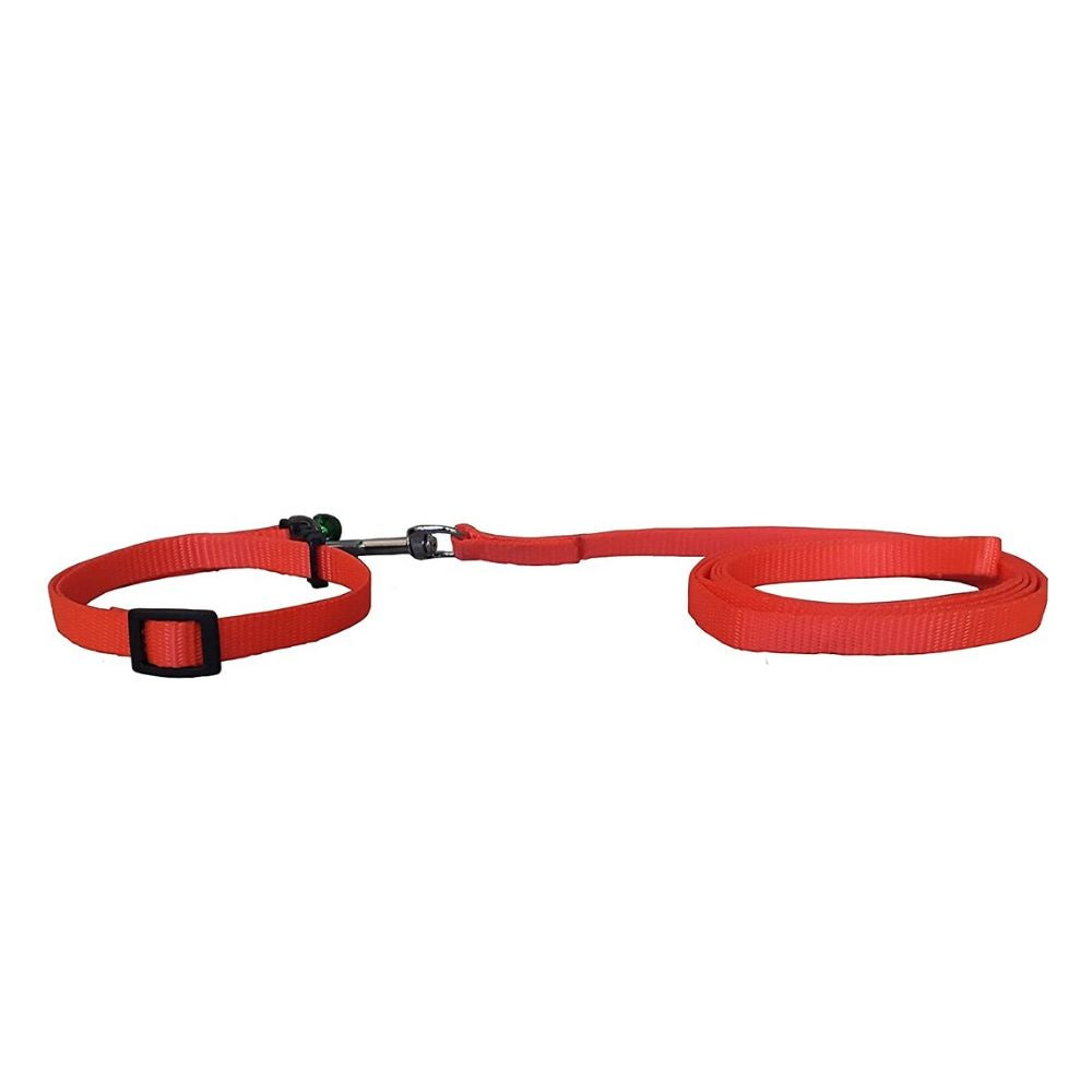 Smarty Pet Royal Nylon Dog Leash and Collar Set