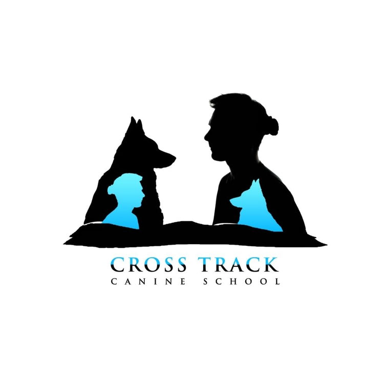 Cross Track Dog Training And Behavior Correction School Bangalore