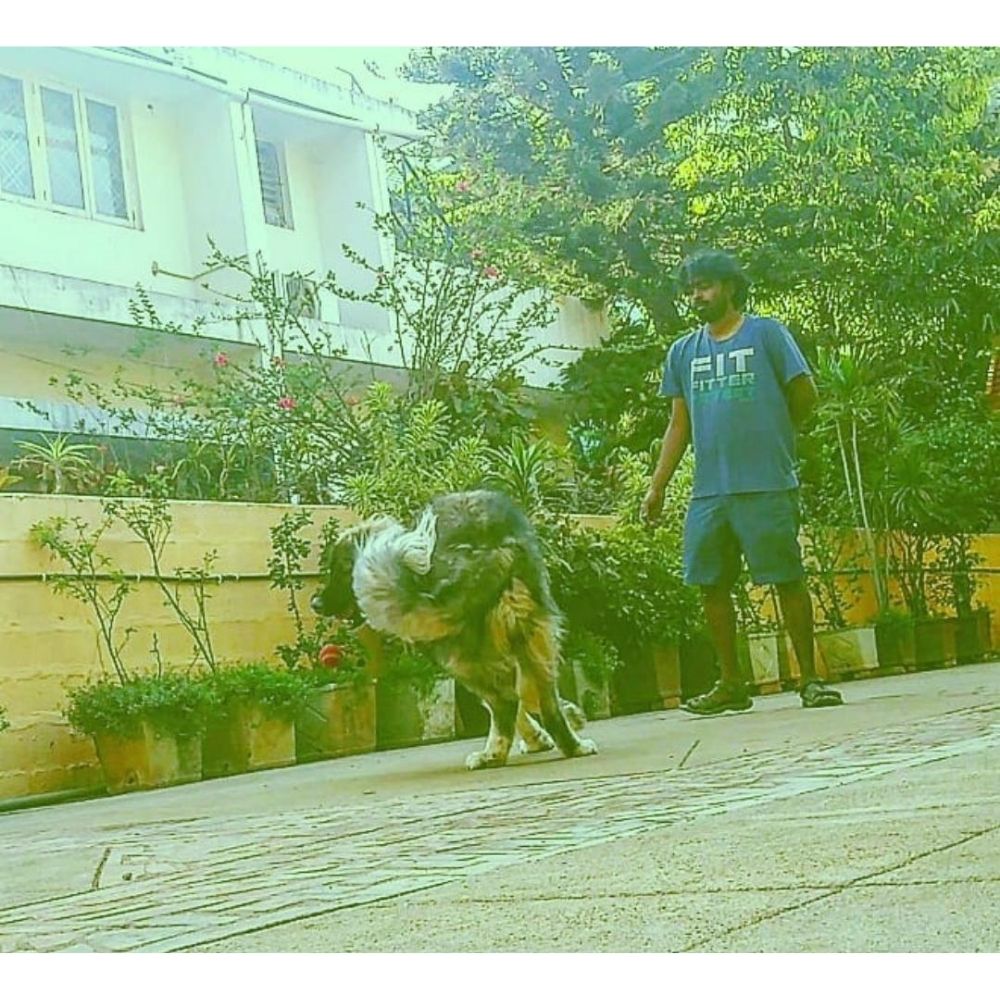 Cross Track Dog Training And Behavior Correction School Bangalore