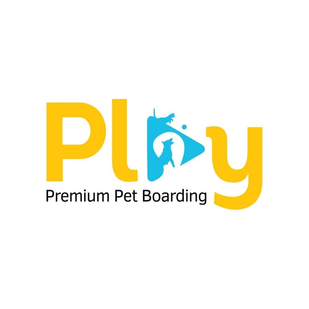 Play Premium Pet Boarding Bangalore