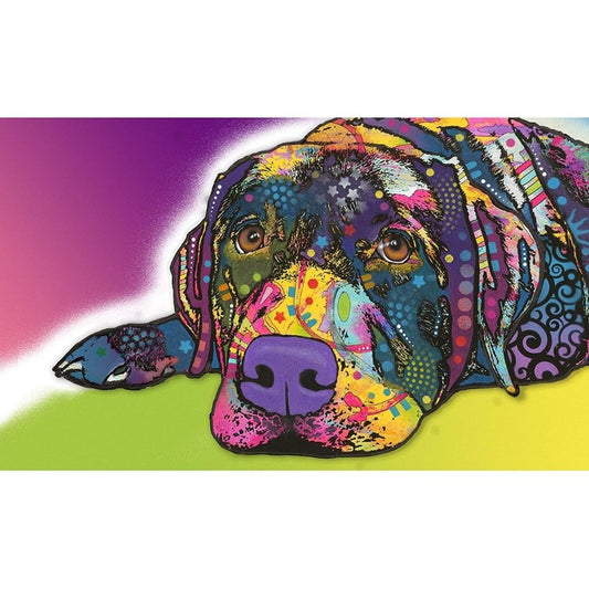 Savvy Labrodar Placement Mats For Dogs Large 16x28 inches