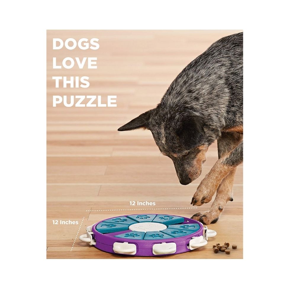 Outward HoundNina Ottosson Hide N' Slide Dog Puzzle For All Dogs - Level 3
