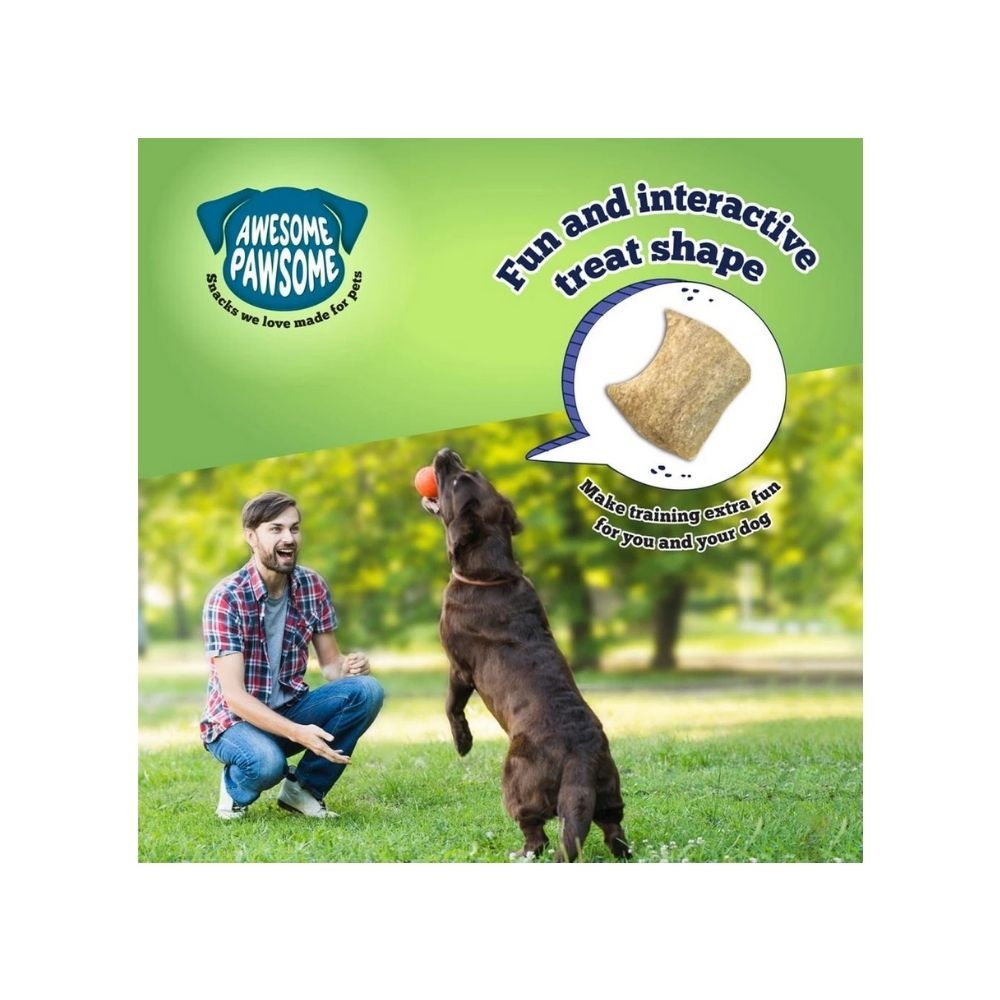 Awesome Pawsome Chicken Dumpling All-Natural Grain-Free Dog Treats For All Dogs-85 gm