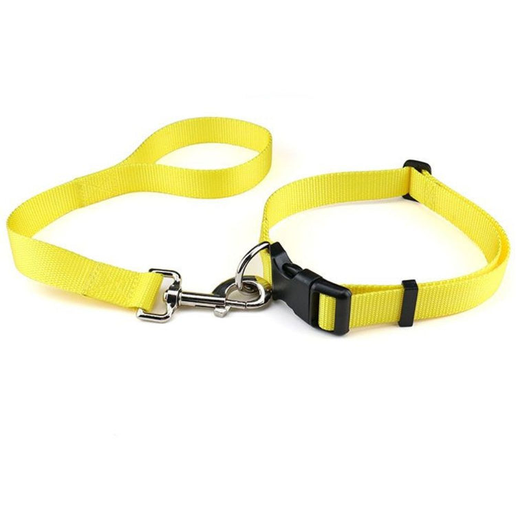 Smarty Pet Plain Nylon Dog Collar & Leash Set