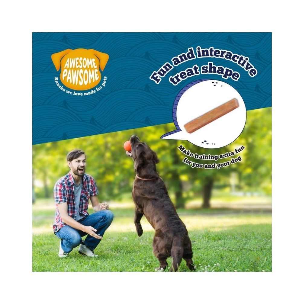Awesome PawsomeSalmon Supreme Recipe All-Natural Grain-Free Treats For All Dogs - 85 gm