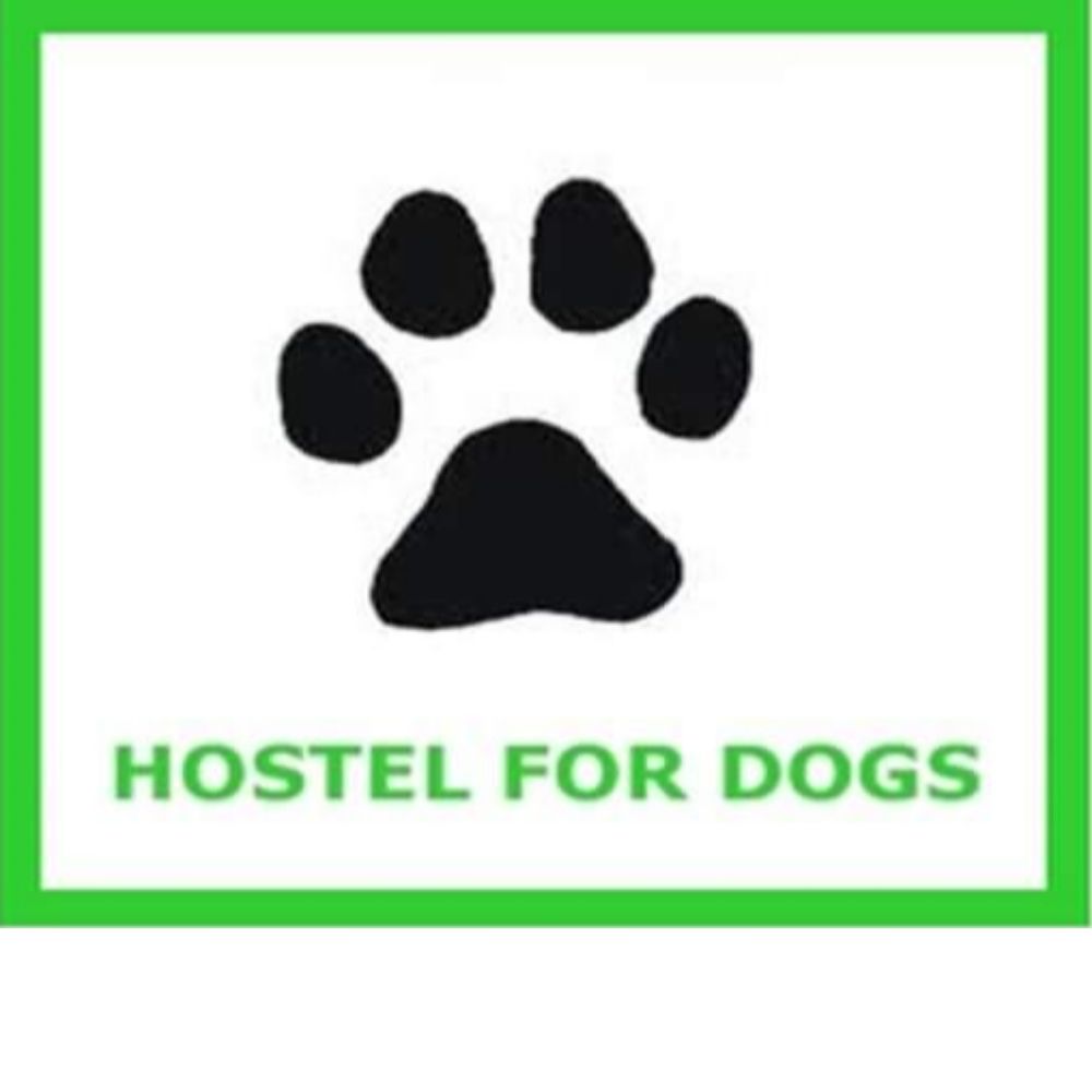 Hostel For Dogs Coimbatore.