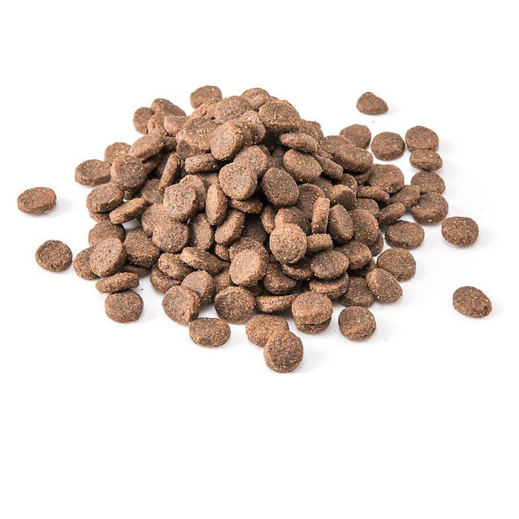 Taste of the Wild Sierra Mountain Canine Dry Dog Food (Roasted Lamb) - 2 Kgs
