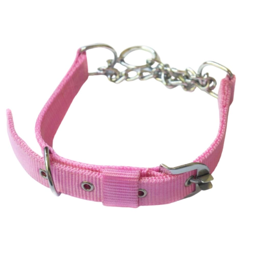 Poochles Nylon Chained Dog Collar