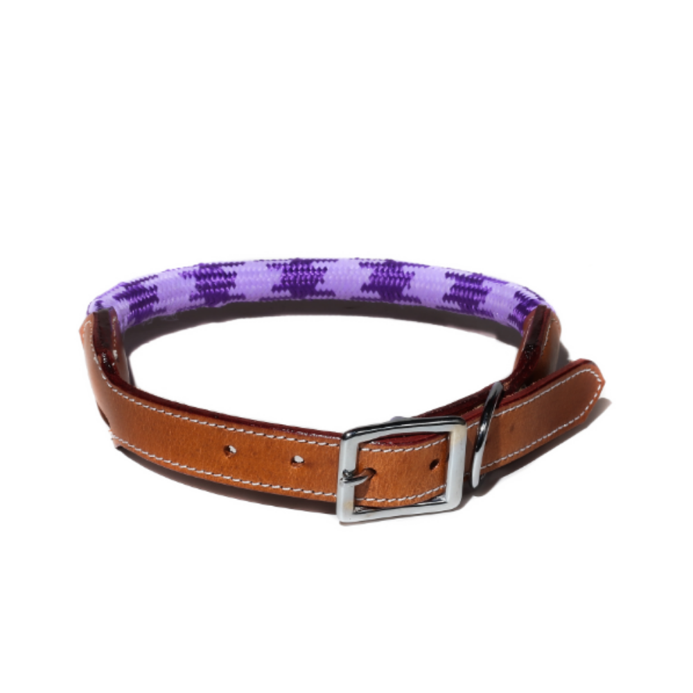 Poochles Nylon with Leather Padded Dog Collar