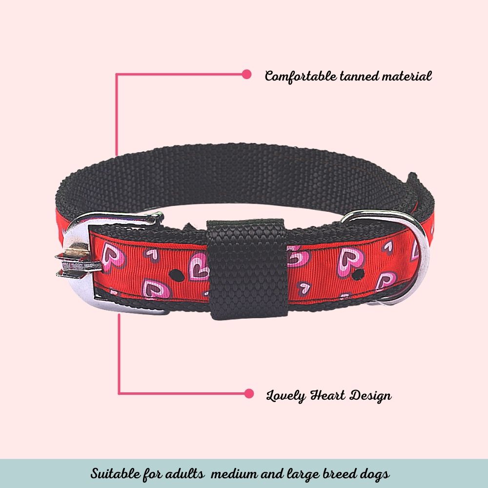 "Soulmate Forever" Dog Collar For Adults Of Medium & Large Breeds