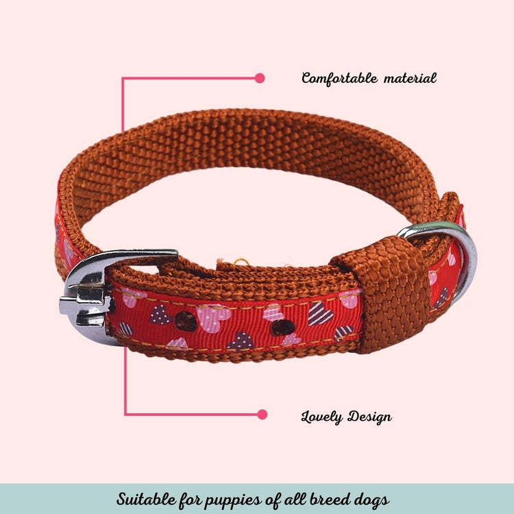 "Down With Love" Dog Collar For Puppies Of All Breeds