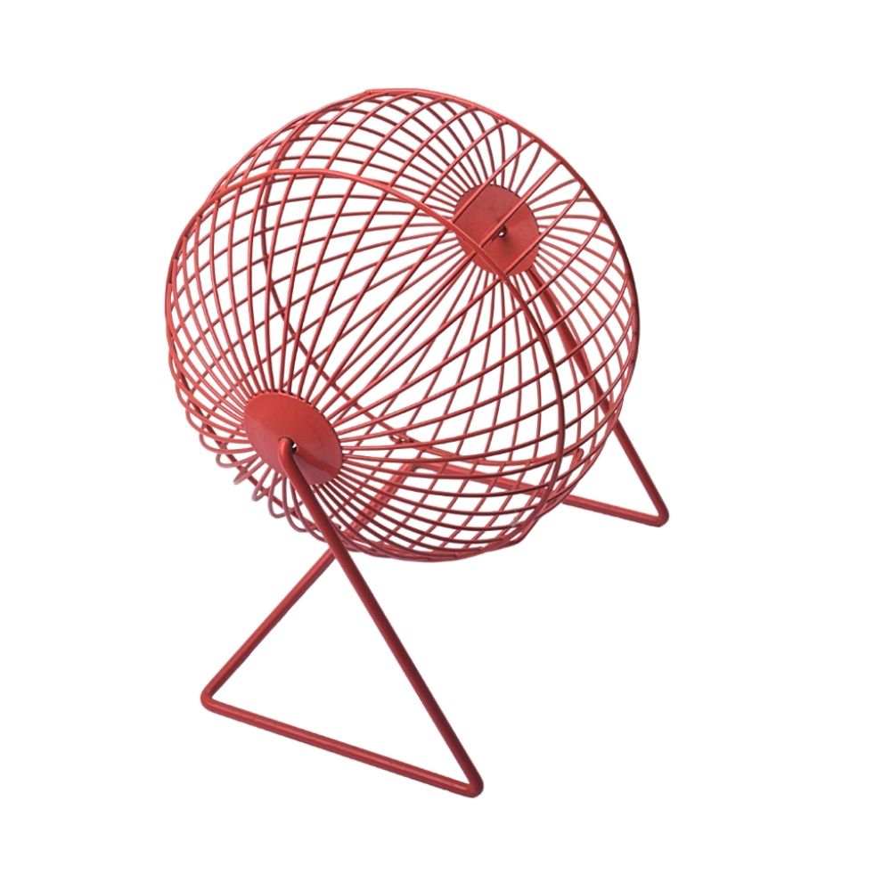 Exercise Spinning Play Toy For Hamsters and Guinea Pigs