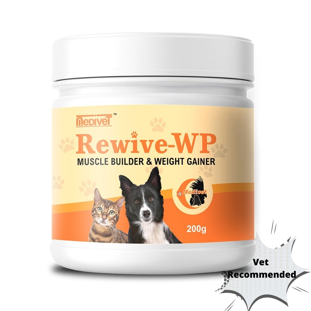 Dog Healthy Weight Supplement - 200gms