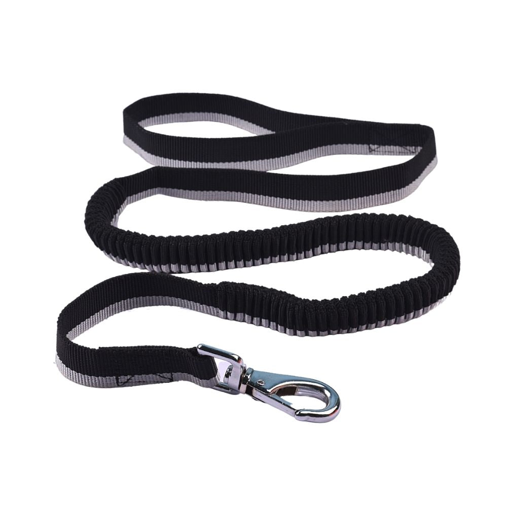 Poochles Flexible Collar And Leash For Dogs