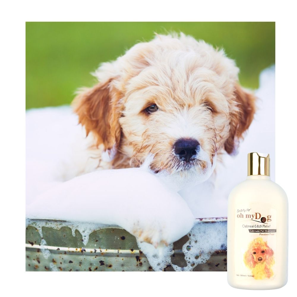 Oh My Dog Oat Meal Shampoos For Dogs