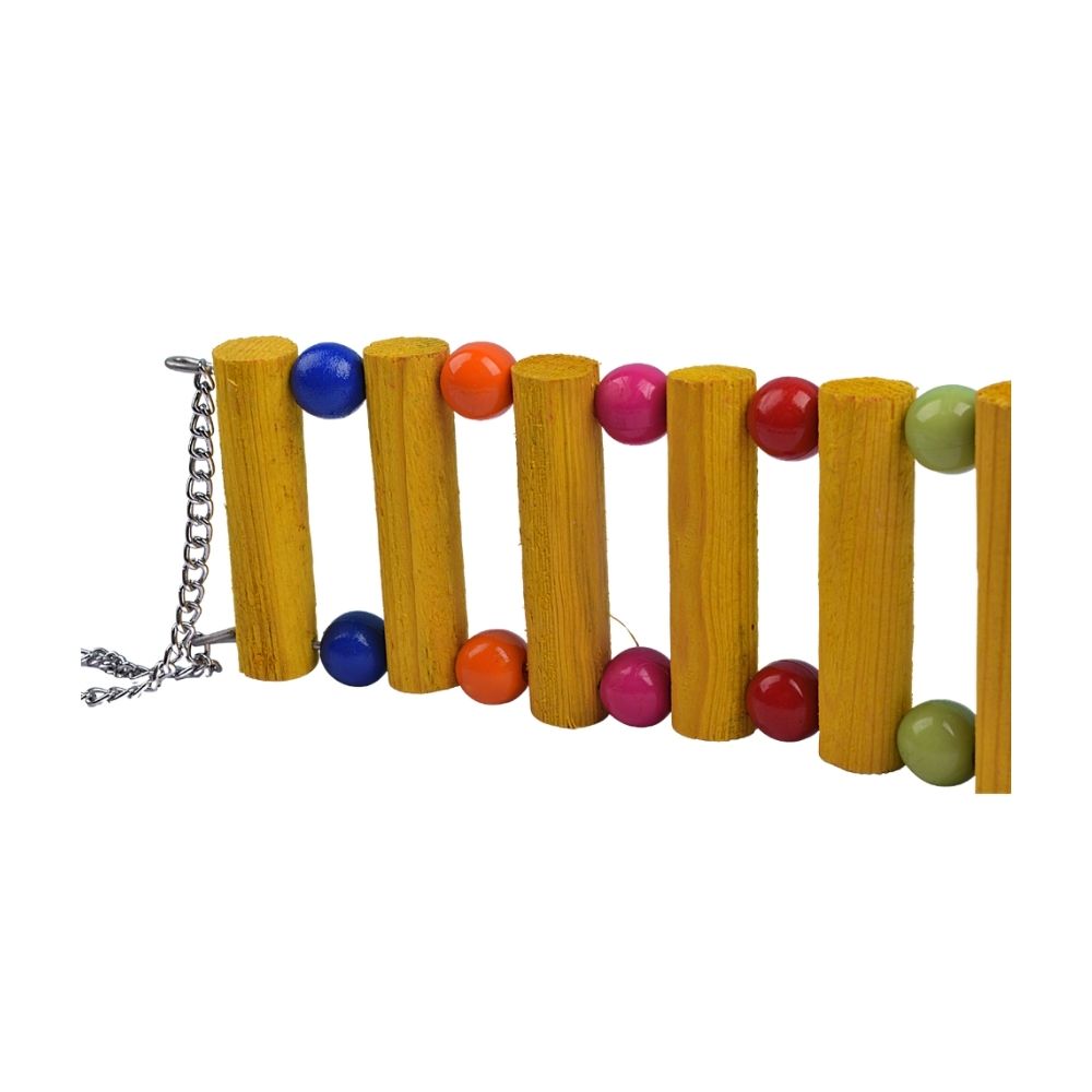 "Swing All The Way" Swing Bird Toy For All Birds