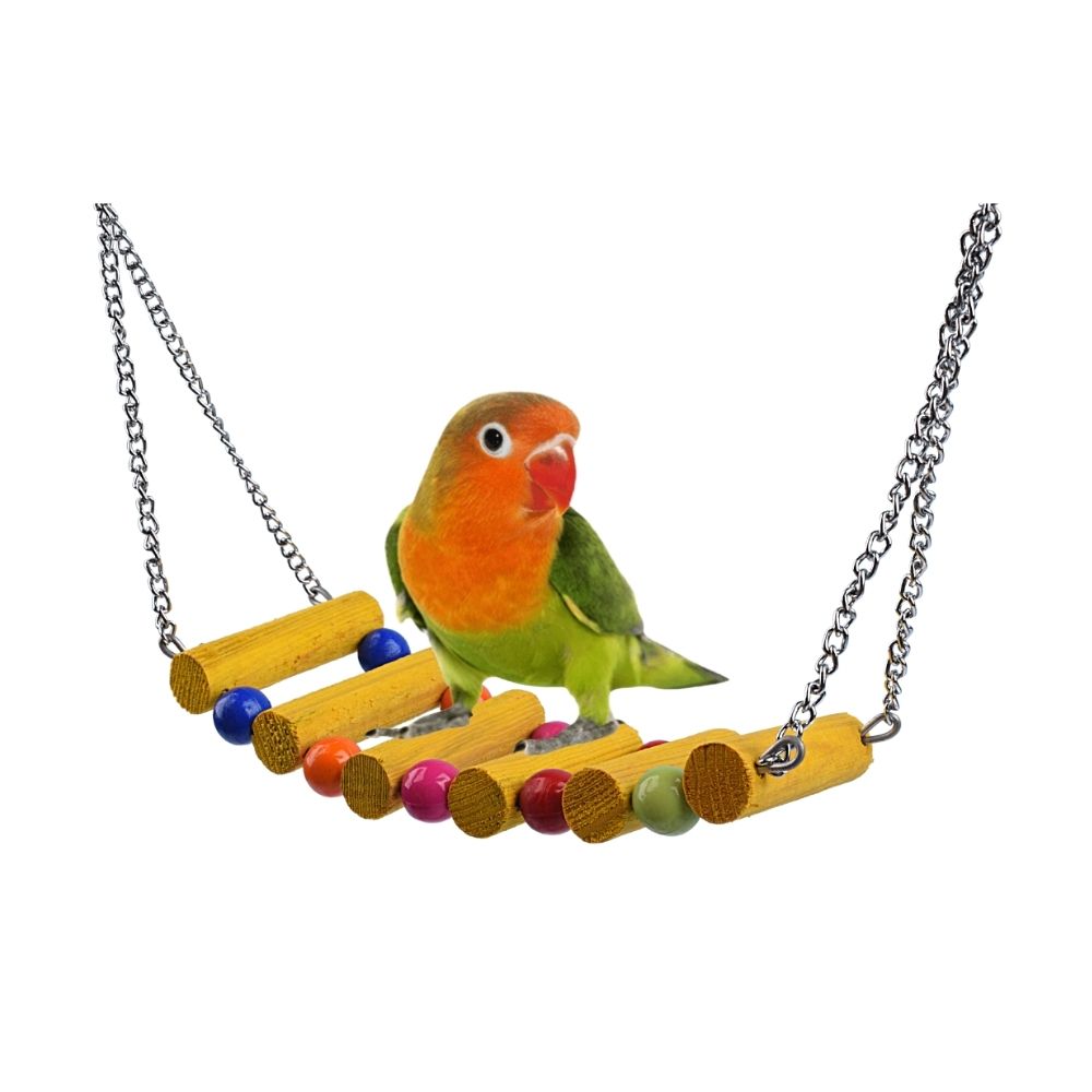 "Swing All The Way" Swing Bird Toy For All Birds