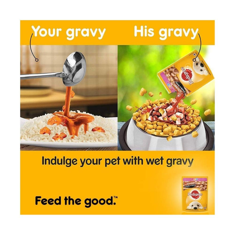 Pedigree Puppy Wet Dog Food, Chicken Chunks in Gravy, 70 g (Pack of 15)