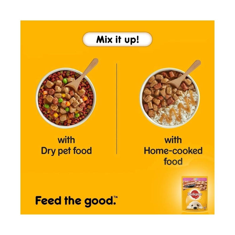 Pedigree Puppy Wet Dog Food, Chicken Chunks in Gravy, 70 g (Pack of 15)