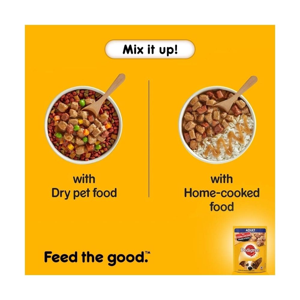 Pedigree Adult Wet Dog Food, Chicken & Liver Chunks in Gravy, 70 g (Pack of 15)