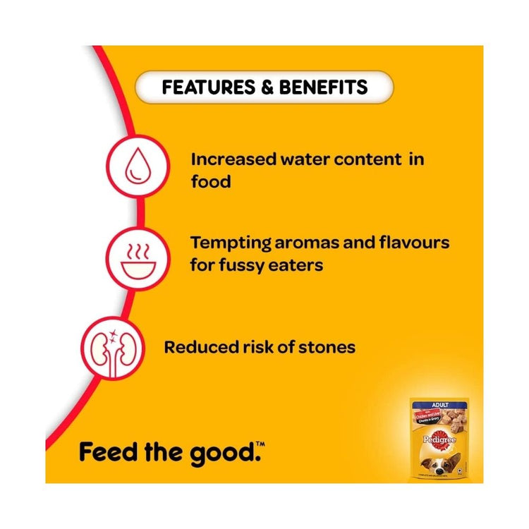 Pedigree Adult Wet Dog Food, Chicken & Liver Chunks in Gravy, 70 g (Pack of 15)