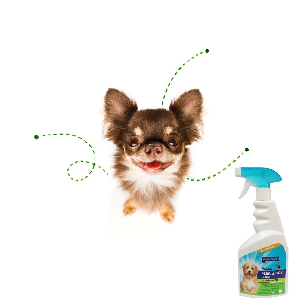Poochles Natural Dog Flea And Tick Spray For All Pets - 500ml