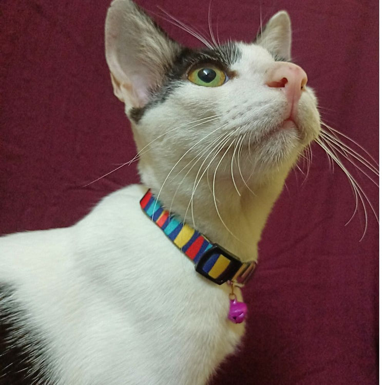 "Mr.Stripes" Cat Collar