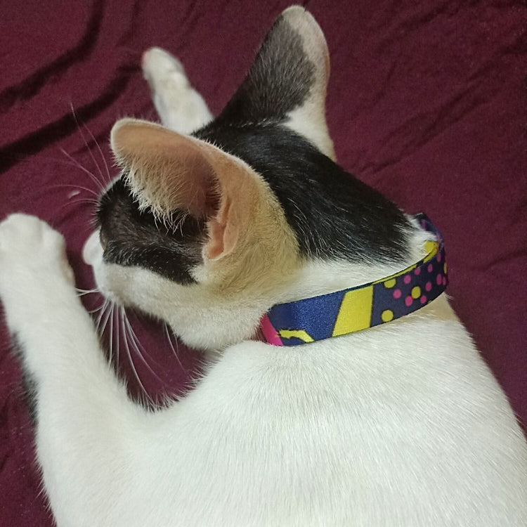 "Milky Way" Cat Collar