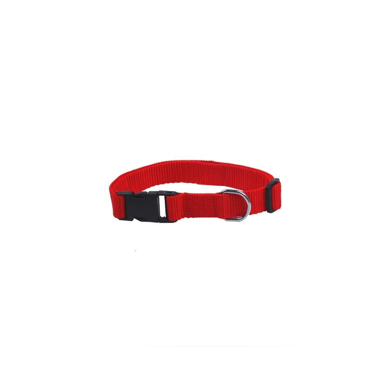 "Jingle All The Way" Collar And Leash Combo For All Dogs