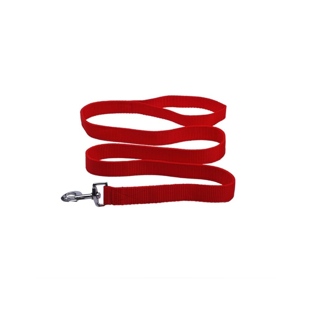 "Jingle All The Way" Collar And Leash Combo For All Dogs