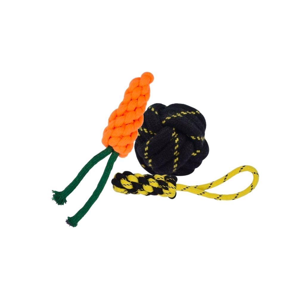 Ropetastic Rope Toy Poochpack For Puppies