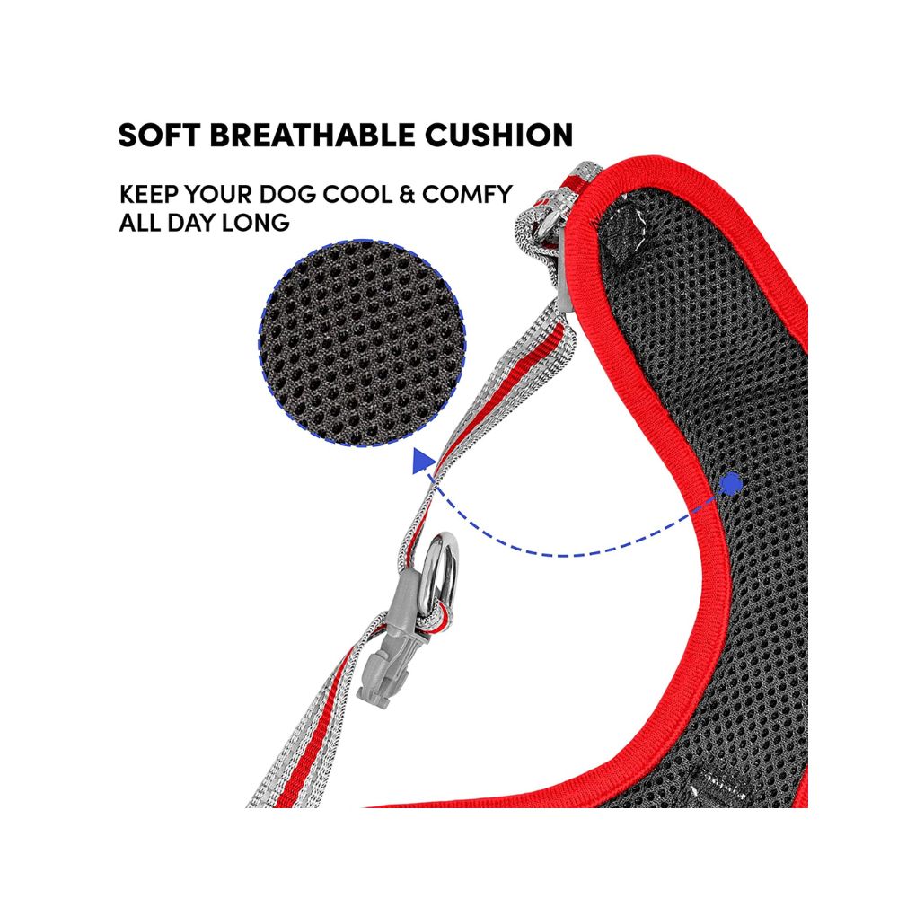 Whoof Whoof Mesh Padded Harness For All Dogs