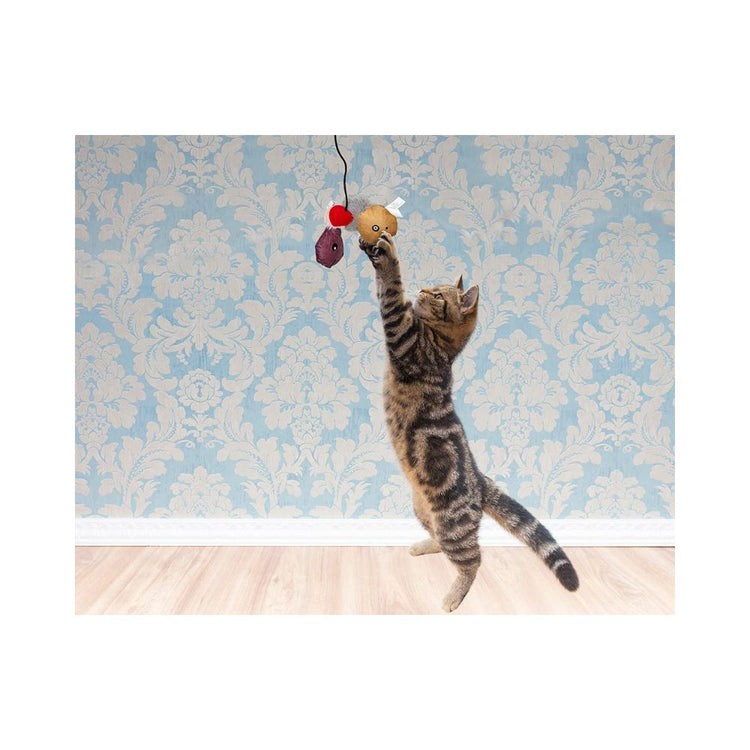 Barkbutler x Fofos Magn Teaser Sealife Interactive Cat Teaser Wand Toy