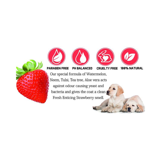 No-0 Odour Control Shampoo For Dogs And Cats Strawberry- 500ml