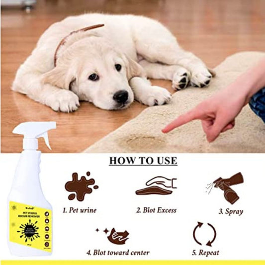 Vetsafe Pet Stain and Odour remover For Dogs And Cats