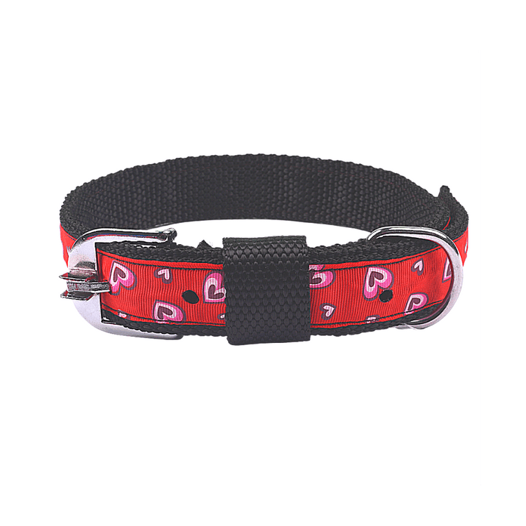"Soulmate Forever" Dog Collar For Adults Of Medium & Large Breeds