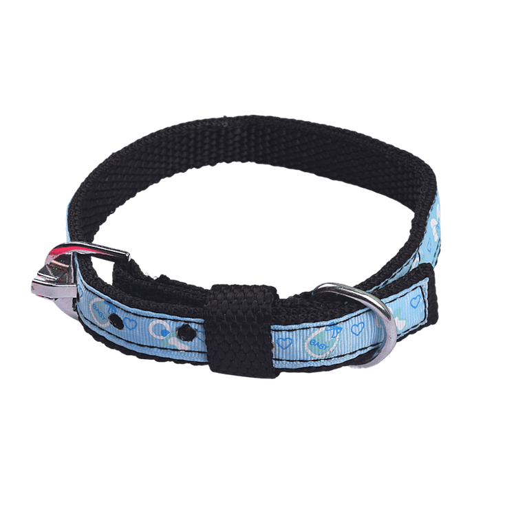 "My Pawlentine" Dog Collar For Puppies Of All Breeds
