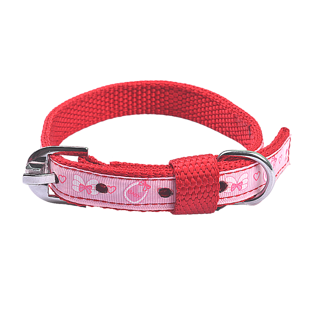 "My Baby" Dog Collar For Puppies Of All breeds