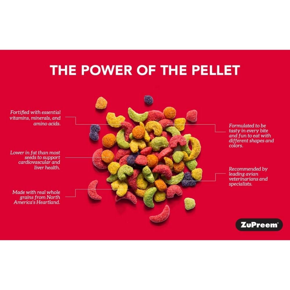 Zupreem Fruit Blend With Natural Blend Bird Food For Large Birds