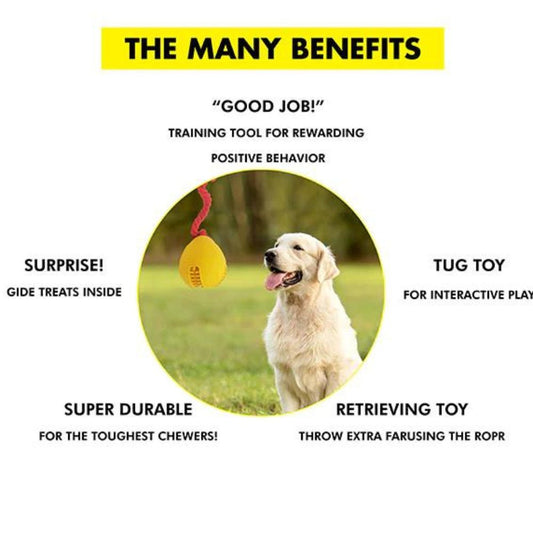 PawsIndia Bomb Durable Dog Treat Toy