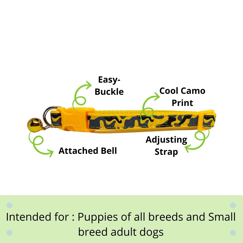 Poochles "Honey Me" Dog Collar For Puppies And Small Breed Dogs