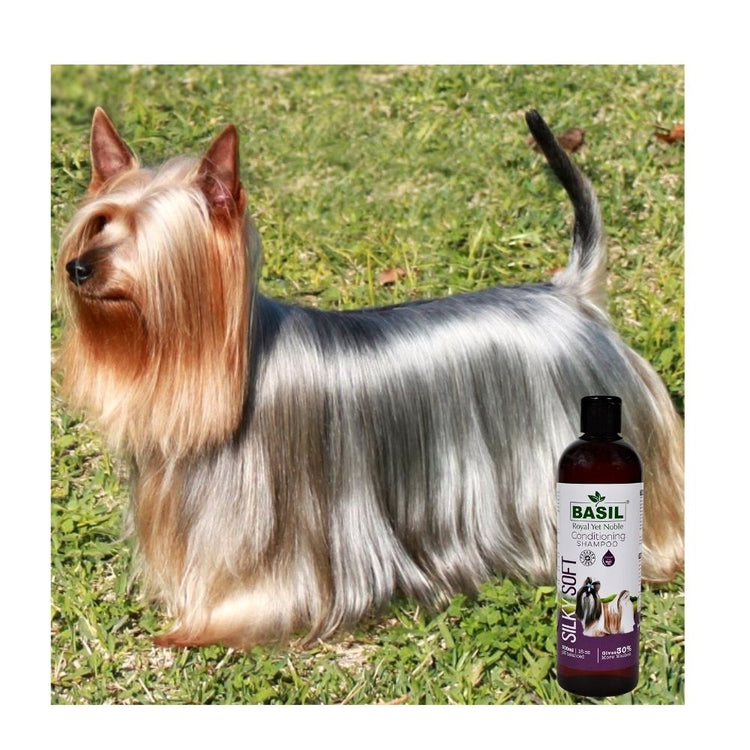 Fur Coat Shine Dog Shampoo