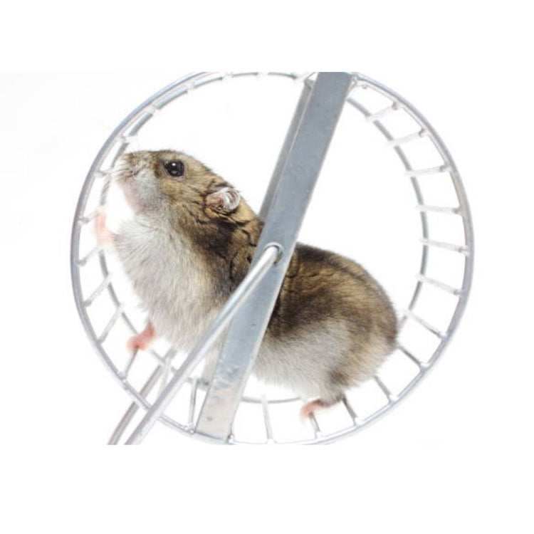 "Spinning Hamster Wheel" Toy For Small Pets - Runnable