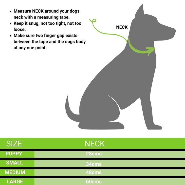 Lug Tug Combo Set For Dogs