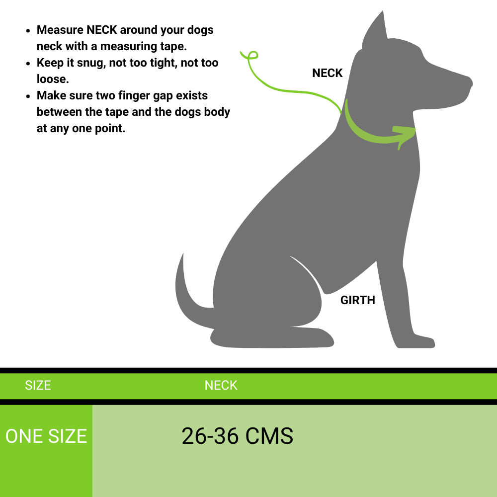 Reflective Puppy Collar For Street Rowdies